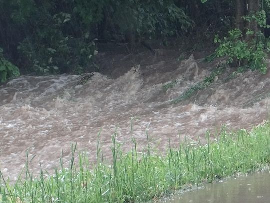 Ulewa w Kaliszu. W jedną noc spadło tyle deszczu, co w dwa tygodnie