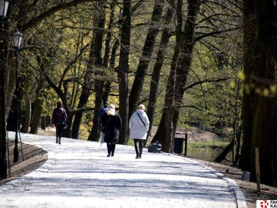 W kaliskich parkach pojawią się przenośne toalety i nowoczesny szalet miejski