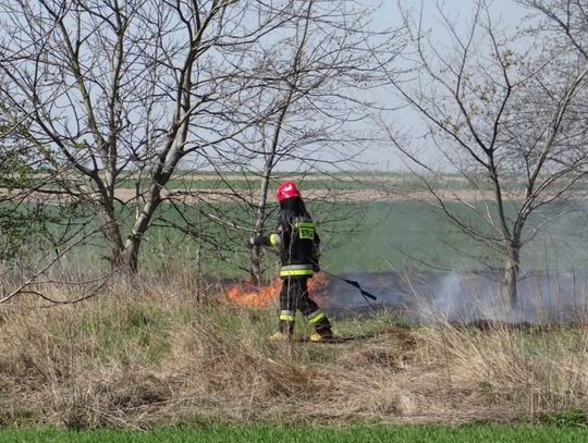 W Kaliszu grasuje podpalacz? Takiej liczby pożarów dawno nie było