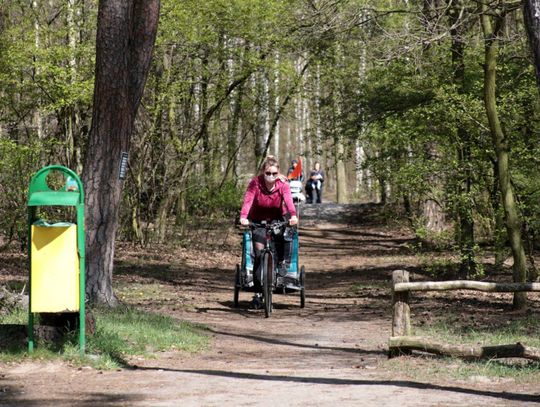 W lasach i parkach zrobił się ruch. Kaliszanie wybrali się na spacery ZDJĘCIA