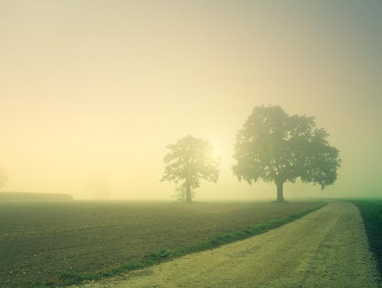 W weekend możliwy deszcz ze śniegiem i śnieg