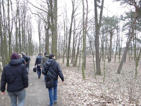 Wiadomo, gdzie powstanie park linowy