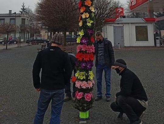 Wielka palma wielkanocna stanęła na rynku w Koźminku ZDJĘCIA