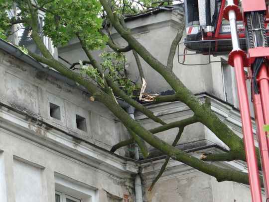 Wielki konar drzewa runął na kamienicę ZDJĘCIA