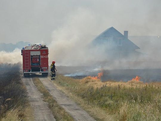 Wielki pożar ścierniska ZDJĘCIA I WIDEO