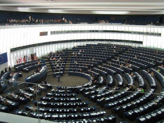 Wielkopolscy eurodeputowani – jak pracują w Brukseli?