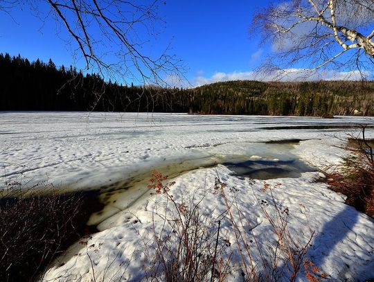 Wigilia ze śniegiem? PROGNOZA POGODY