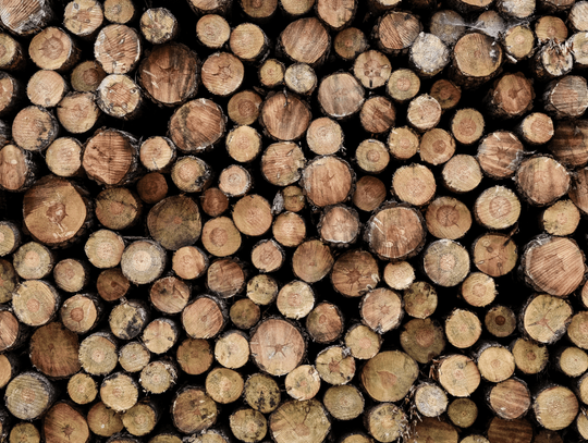 Wilgotność drewna a sprawność kotła – ile tracisz na mokrym paliwie? Wilgotność drewna a sprawność kotła – ile tracisz na mokrym paliwie?