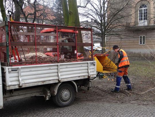 Wiosenne porządki