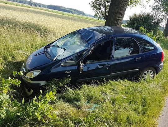 Wjechała do rowu i uderzyła w drzewo. W aucie czwórka dzieci ZDJĘCIA