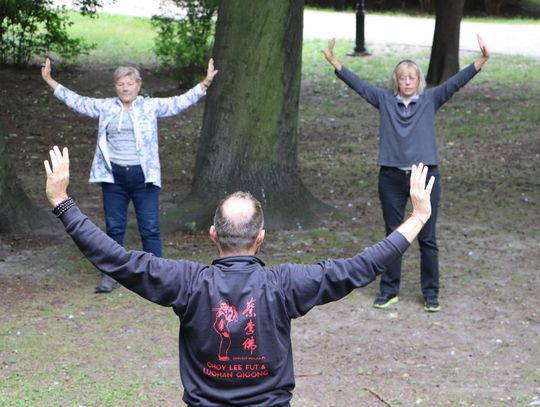 Wracają darmowe zajęcia tai chi i qigong dla seniorów WIDEO