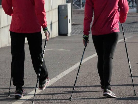 Wszystko o nordic walking