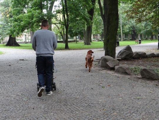 Wybieg dla psów powstanie przy aquaparku