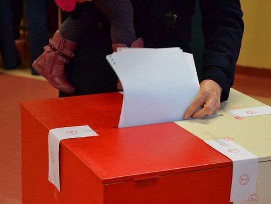 Wybory do Sejmiku: jak głosowali mieszkańcy powiatu?