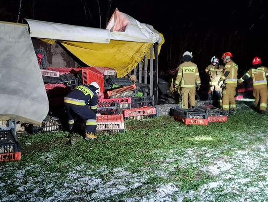 Wypadek ciężarówki przewożącej kury ZDJĘCIA