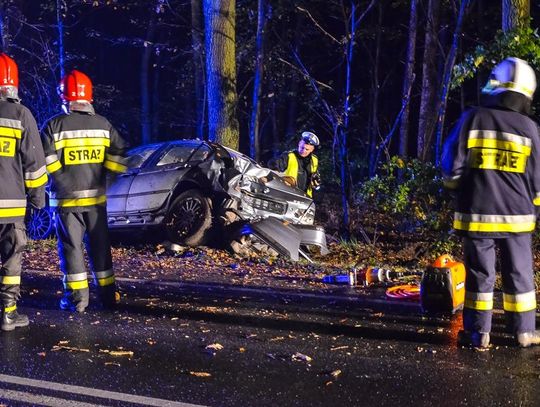 Wypadek na trasie Jarocin – Cielcza. BMW uderzyło w drzewo ZDJĘCIA