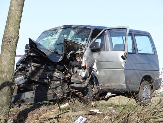 Wypadek w Goliszewie. Volkswagen Transporter uderzył w drzewo ZDJĘCIA