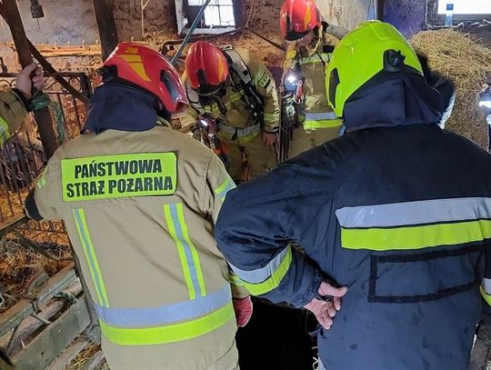 Wypadek w gospodarstwie. Strop ze zbożem RUNĄŁ na zwierzęta