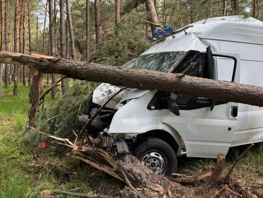 Wypadek w lesie. Bus uderzył w drzewo ZDJĘCIA