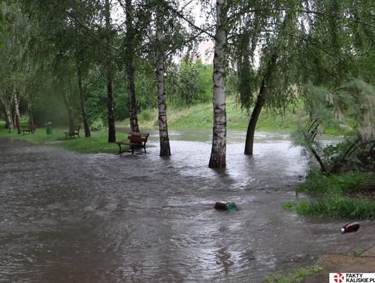 Wyregulują Krępicę i Piwonkę