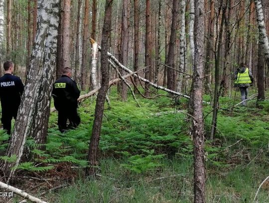 Wyszedł z domu i zgubił się w lesie. Akcja poszukiwawcza mężczyzny