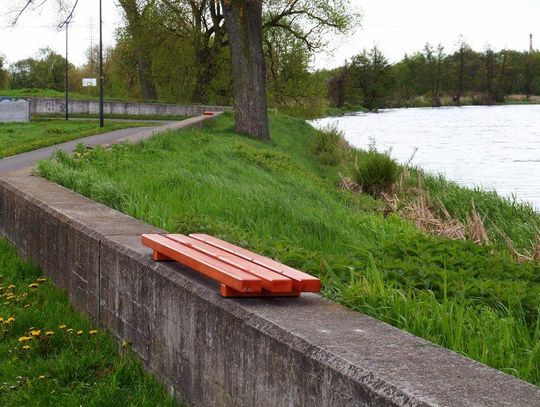 Wzdłuż ścieżki rowerowej nad Prosną pojawiły się ławki ZDJĘCIA