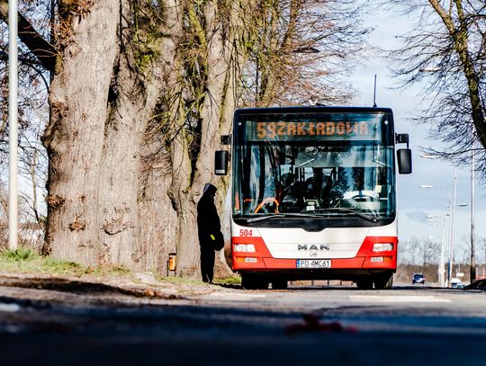 Wzorują się na Kaliszu.  Tam też chcą bezpłatnej komunikacji miejskiej