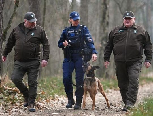 Z nożem na kobietę. Kaliszanin zaatakował w lesie