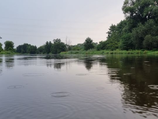 Z suszy w powódź? Taki deszcz nie nawadnia, tylko zatapia