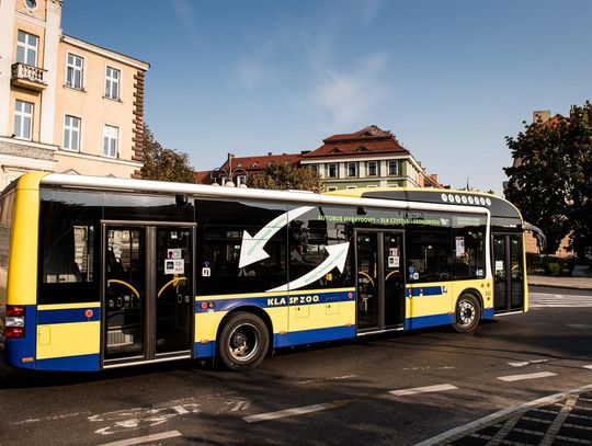 Z wrotkami i hulajnogą do autobusu? KLA wyjaśniają