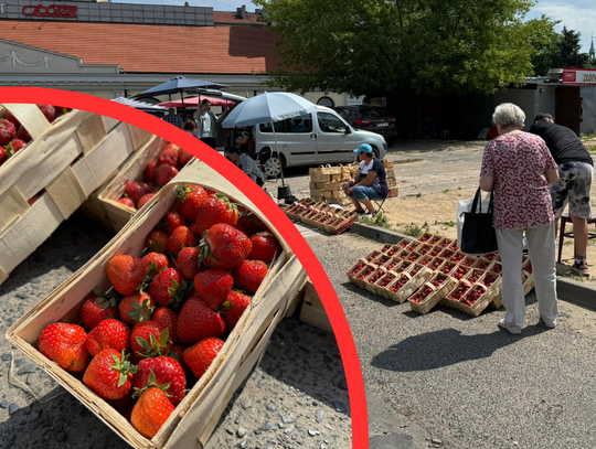 Za ile kupimy truskawki na kaliskich rynkach? CENY