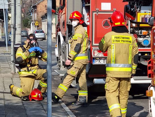 Zadymienie na Ogrodach. W akcji 5 zastępów straży ZDJĘCIA