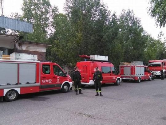 Zaginęła starsza kobieta. Wielkie poszukiwania w powiecie ostrowskim