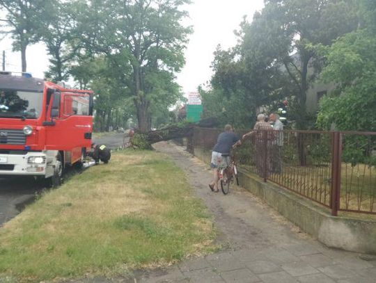 Zagrzmiało, padało i wiało. Niebezpiecznie w Ostrowie