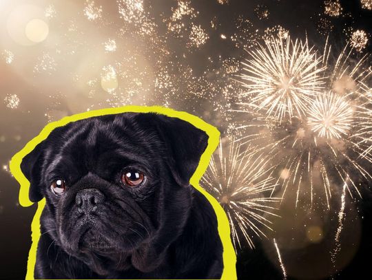 Zainteresowanie nie słabnie. Kaliszanie nie rezygnują z fajerwerków Zainteresowanie nie słabnie. Kaliszanie nie rezygnują z fajerwerków