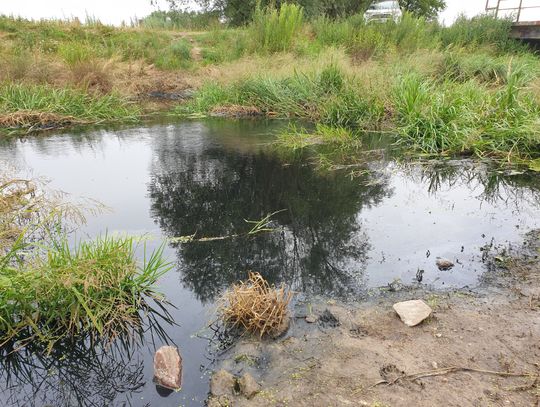 Zanieczyszczenie biologiczne czy chemiczne? Prokuratura prowadzi śledztwo w sprawie Baryczy