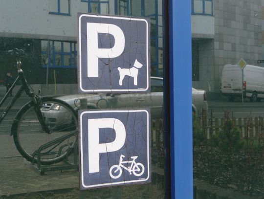 Zaparkuj swojego… psa!