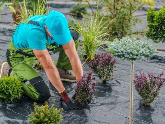 Zastosowanie agrotkanin Agritella – jak dobrać kolor do rodzaju upraw?