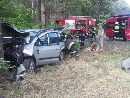 Zderzenie dwóch samochodów na krajowej „25”. Jedno z aut roztrzaskało się na drzewie ZDJĘCIA