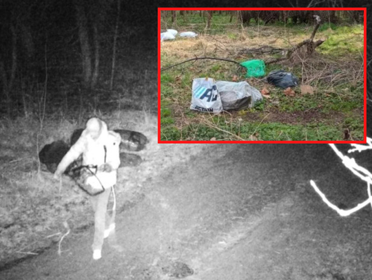 Zero tolerancji dla śmieciarzy. Sprawca szybko ukarany!