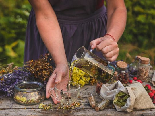 Zielarstwo jako sposób na życie? Sprawdź, jak zostać zielarzem-fitoterapeutą!