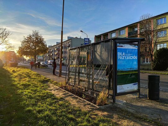 Zielone i ekologiczne przystanki w centrum miasta ZDJĘCIA