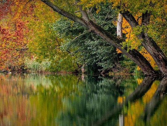 Zimno, ale słonecznie. Sprawdź pogodę na weekend