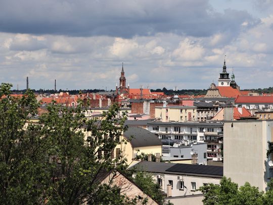 Znowu dużo ofert pracy KALISZ I OKOLICE