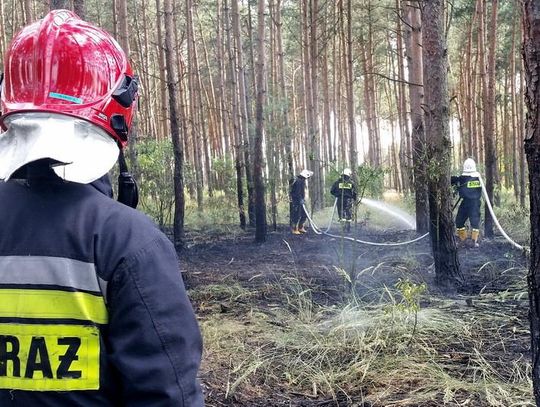 Zostawiał w lesie zapaloną świeczkę i uciekał. Trzy razy podpalił las