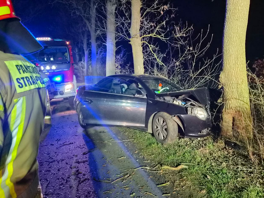 Zwierzę na drodze. Kierowca wjechał w drzewo Zwierzę na drodze. Kierowca wjechał w drzewo