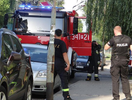 Zwłoki mężczyzny przy Serbinowskiej. Ciało w fazie rozkładu ZDJĘCIA