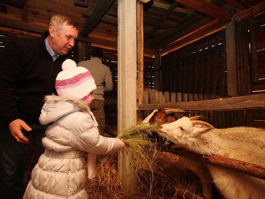 Żywa szopka przy Sanktuarium św. Józefa