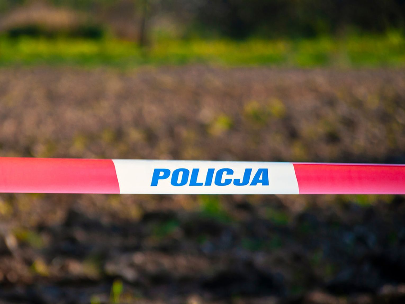 NIE ZNALEZIONO ZAWARTO CI visual data 3