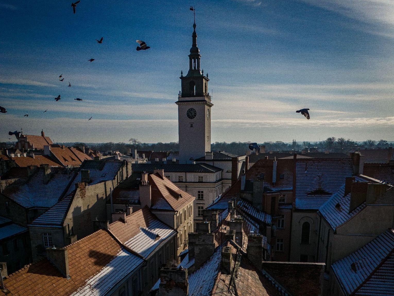 NOWE oferty pracy. Kalisz i okolice